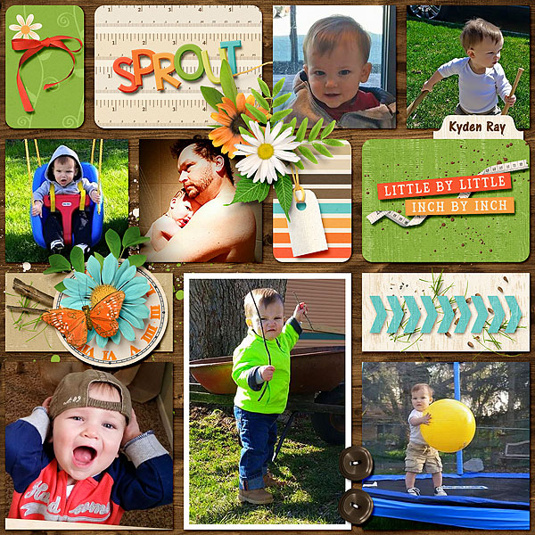 DayByDay4_SproutingUpWeb