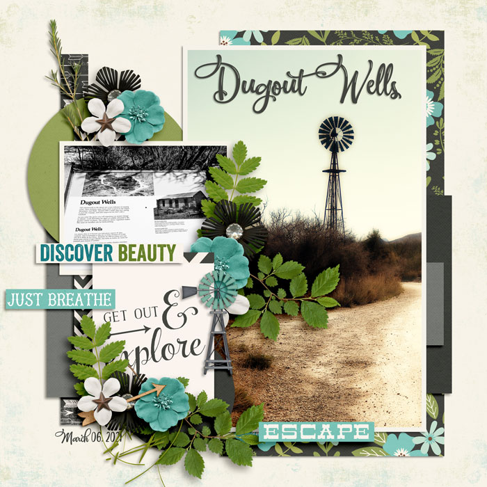 Dugoutwells0321web