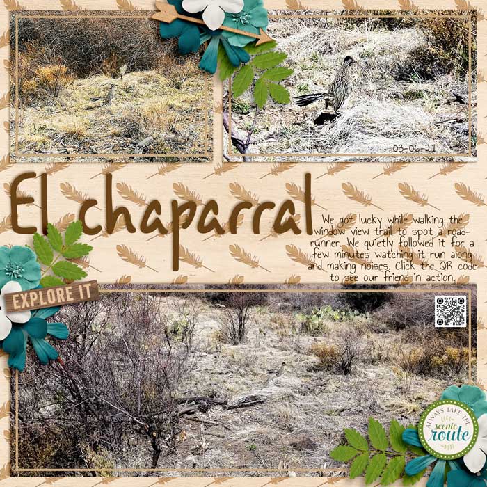 ElChaparralweb