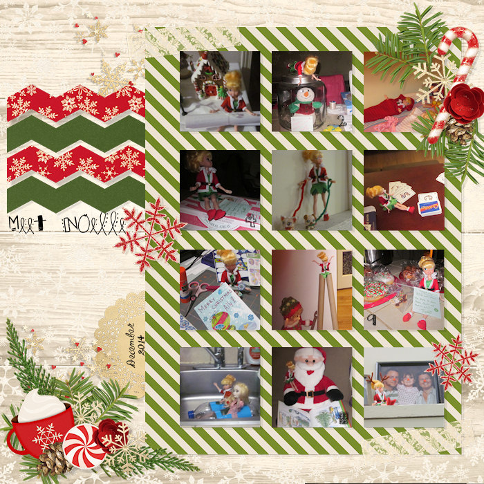 ElfShelf1_web