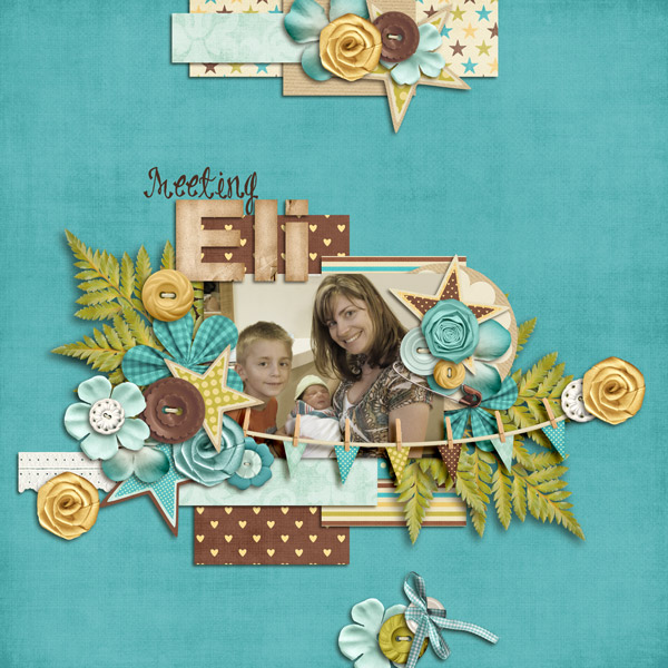 Eliweb