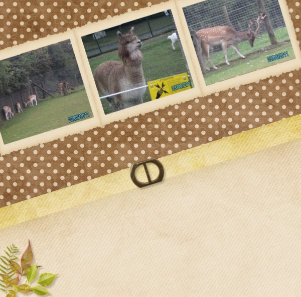 Farm_life
