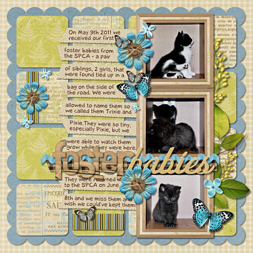 FosterBabiesLOSample