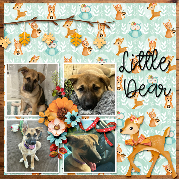 Gallery-Little-Dear