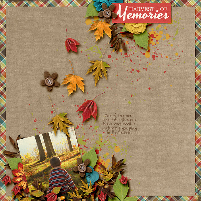 Harvest-of-Memories