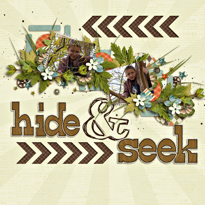 Hide-and-Seek2