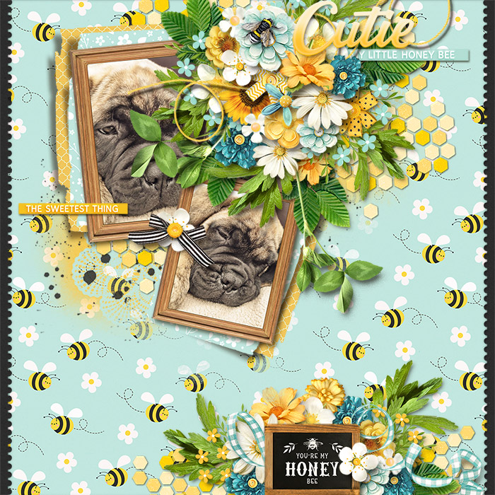 Honey-Bee700