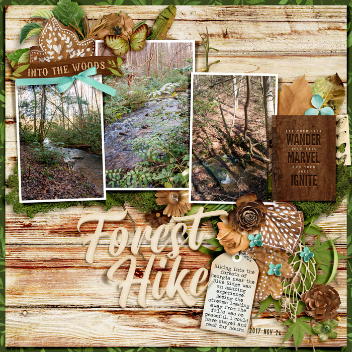 IntoTheWoods_HikinginGeorgia_2017-11-24
