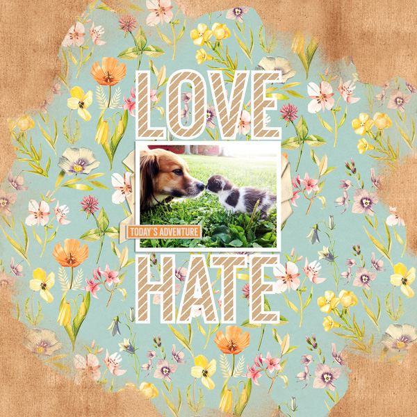 LoveHate