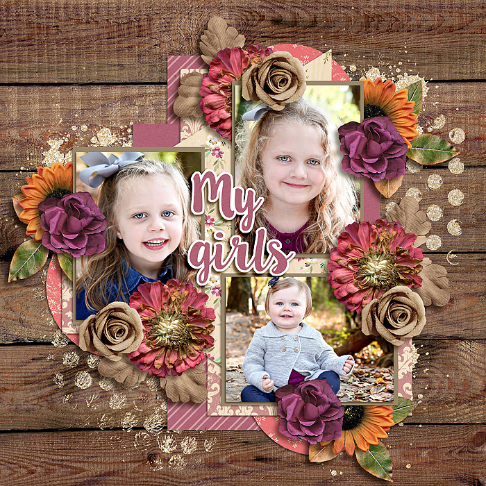 MyGirls_MakeAWish4_mrsashbaugh