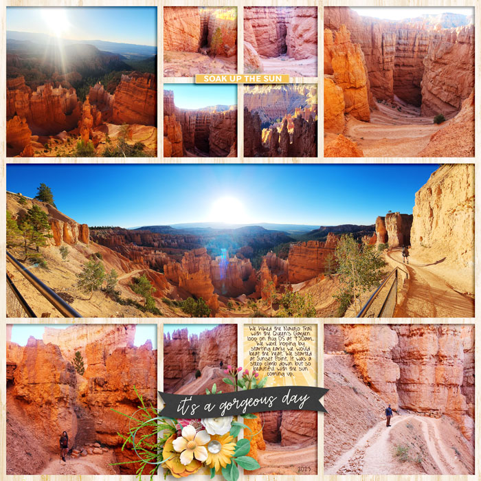 NavajoTrail1web