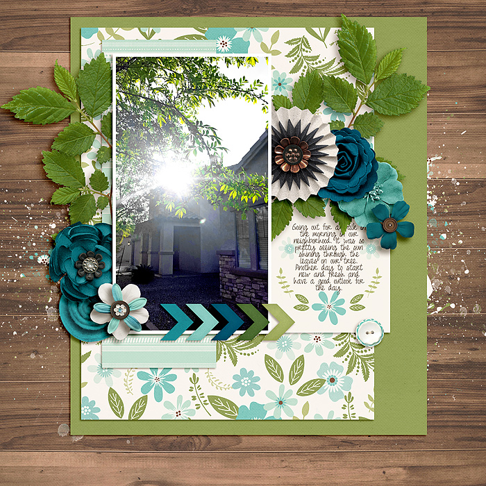 NewDay_mrsashbaugh