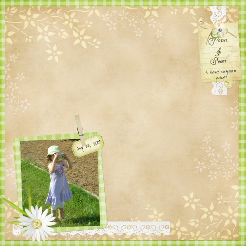 PointAndShoot_web