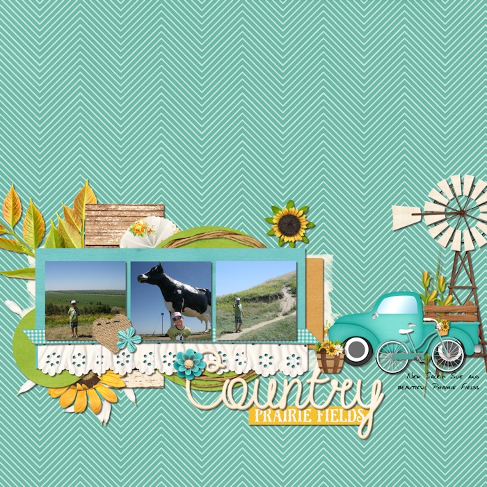 Prairie_Fields_big