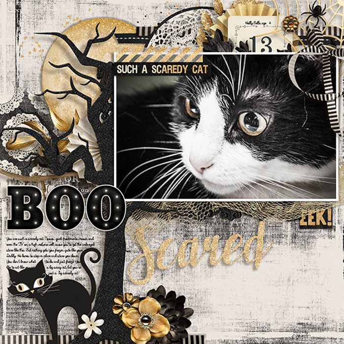 ScaredyCat_HollyBelle_10-10-14