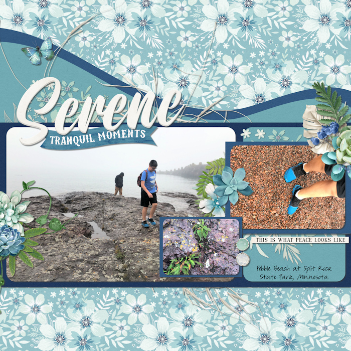 Serene_web