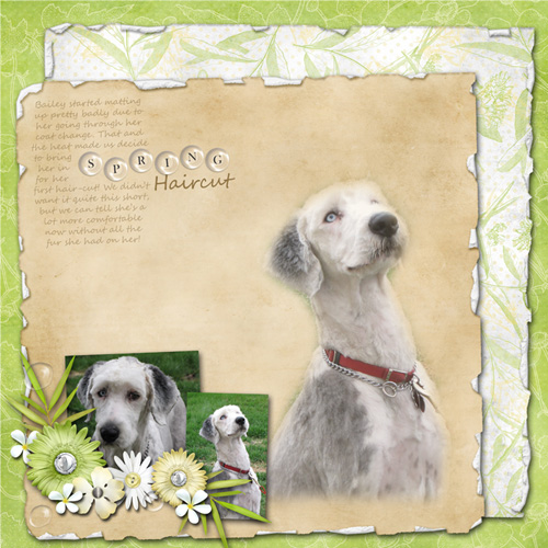 Spring_Haircut