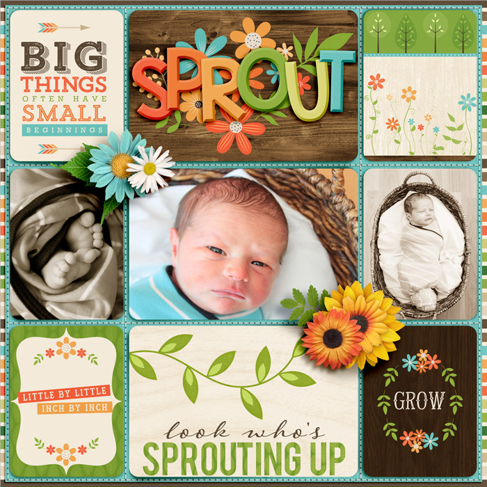 Sprout1