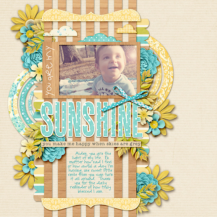 Sunshine-SSD