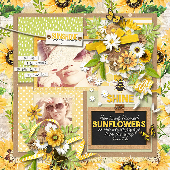 Sunshine7002