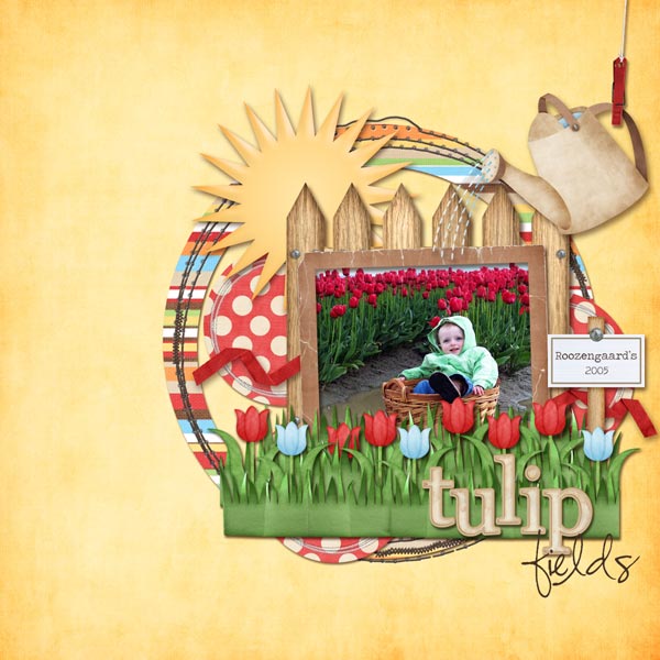 Tulip-Fields