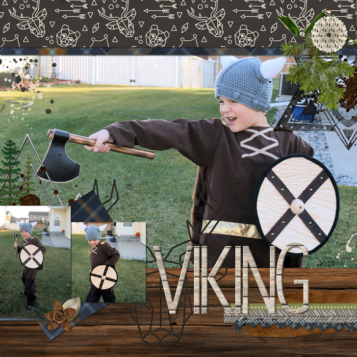 Viking_big