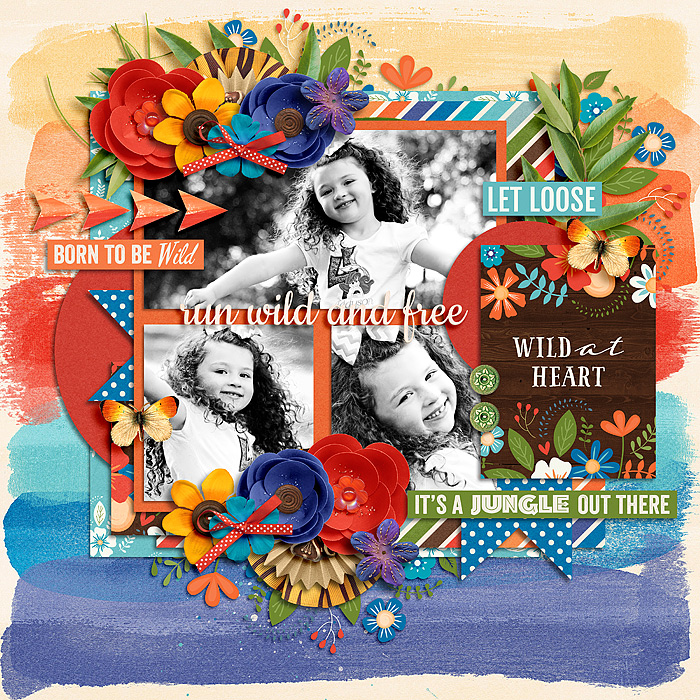 WildAndFree_SSD_mrsashbaugh