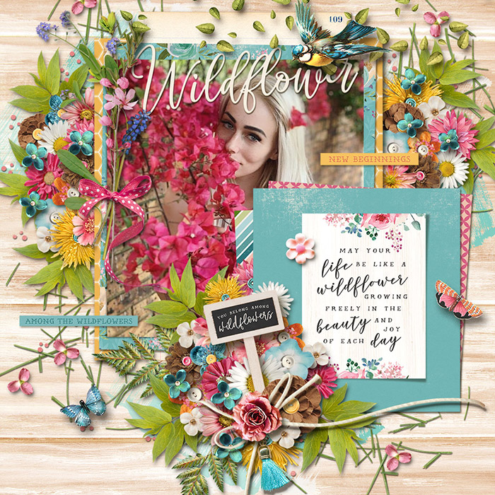 Wildflower7001