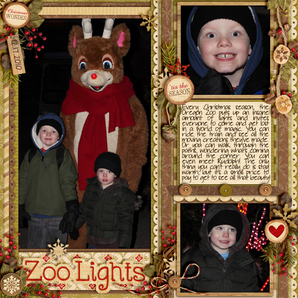 ZooLights_NonePrintVersion_150sfw