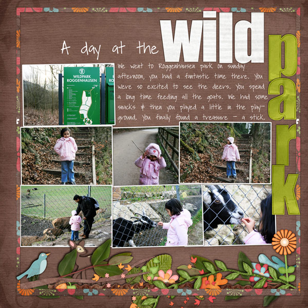 a-day-at-the-wild-park