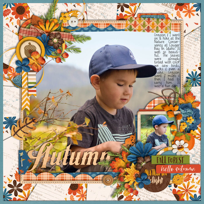 atumnwoodsweb
