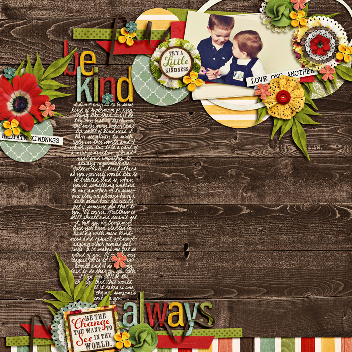 be-kind-alwaysSSD