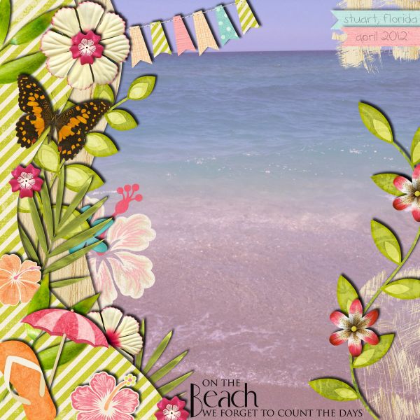 beach14