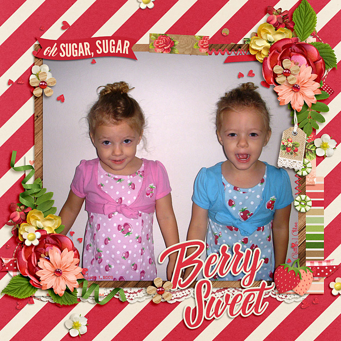 brie_strawberrypatch