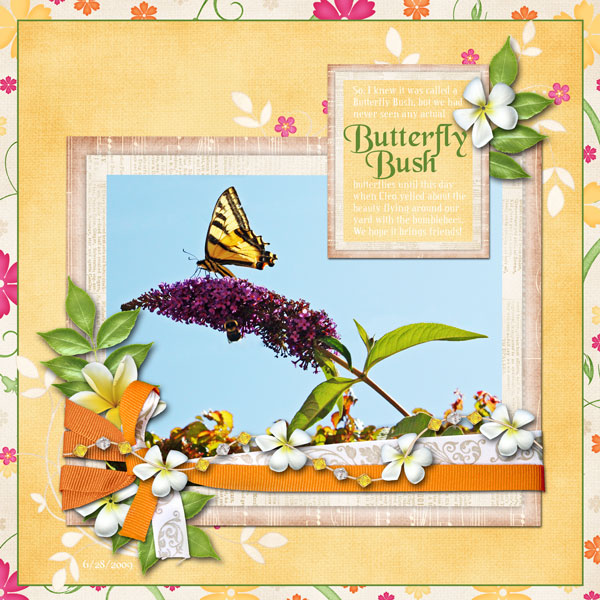 butterflybush600
