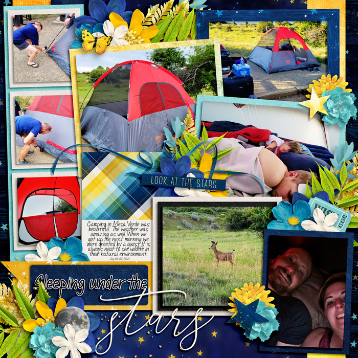 campingmesaverde0721web