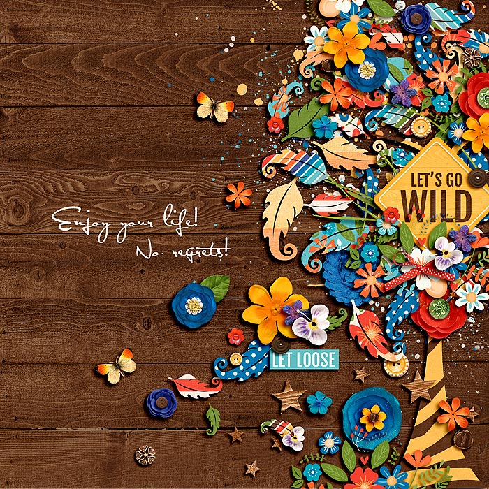 chocochoco-Go-Wild-700