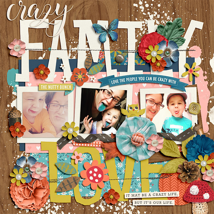 crazyfamilylove