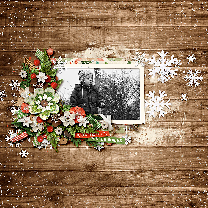 dsi_kcb_winterwoods_ttt83