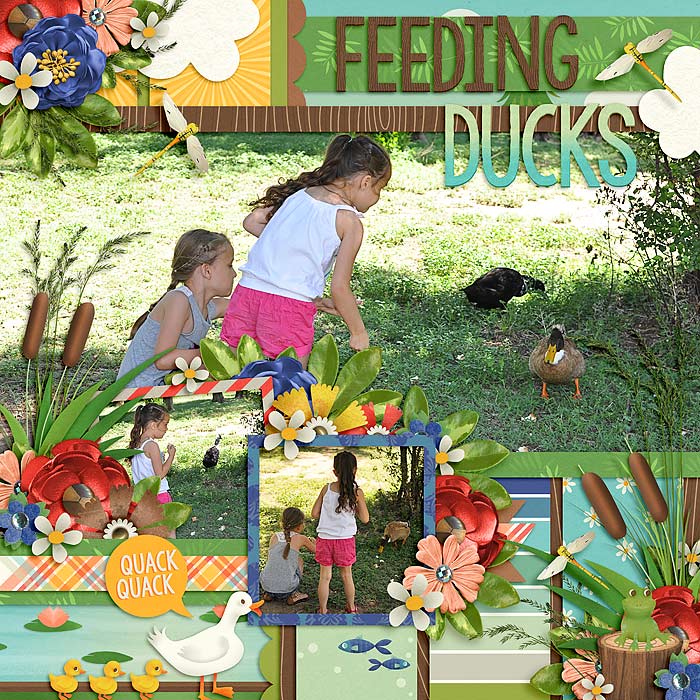 ducks-copy