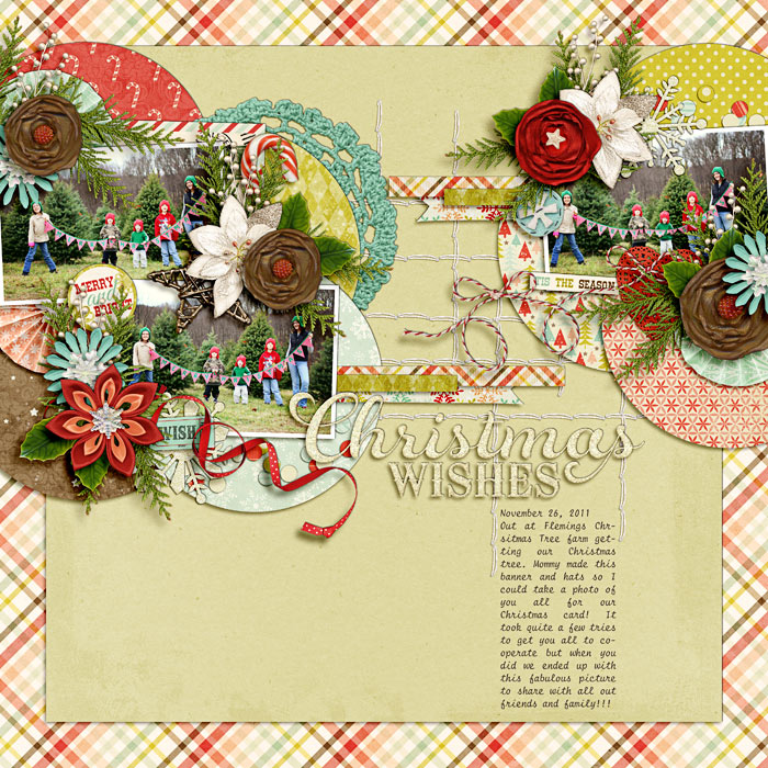 eam2012-christmas-count-SSD