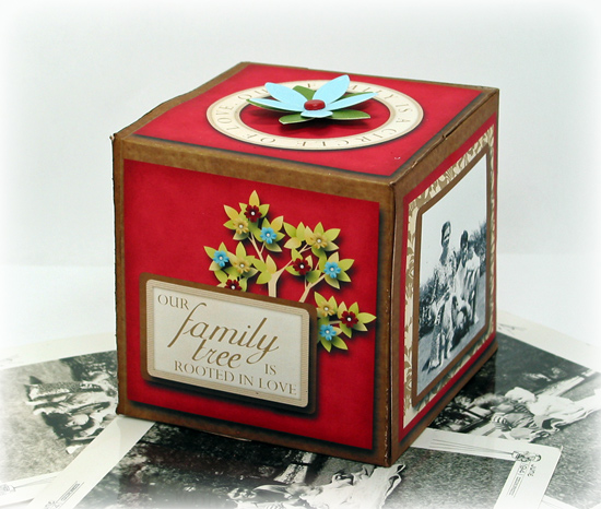 family_ties_box1