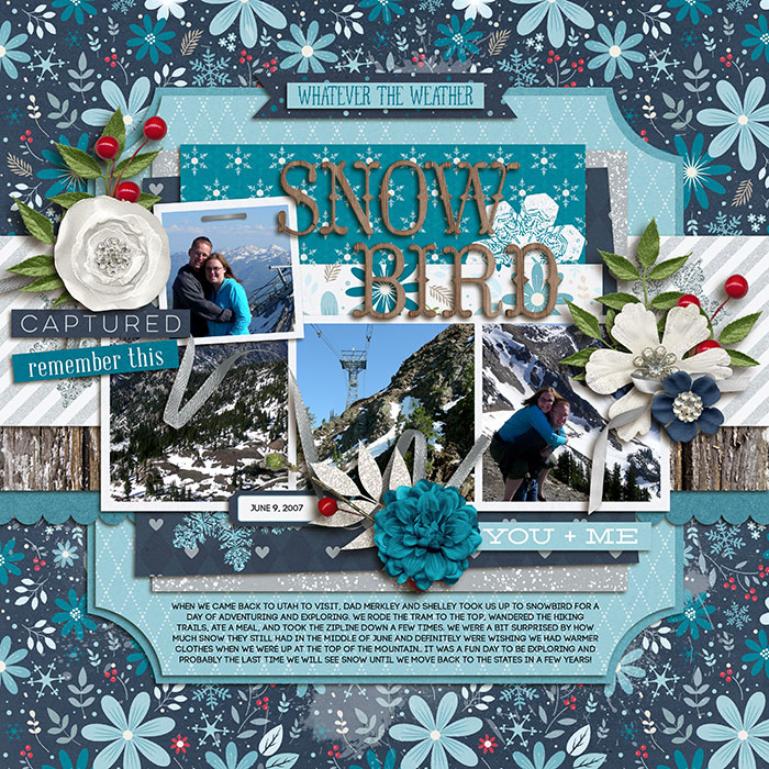 jun07--snowbird