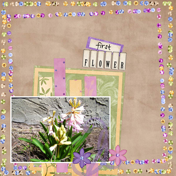kcb-ek_hc_bc_totm0508