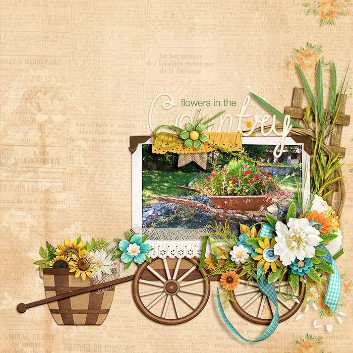 kcb_country