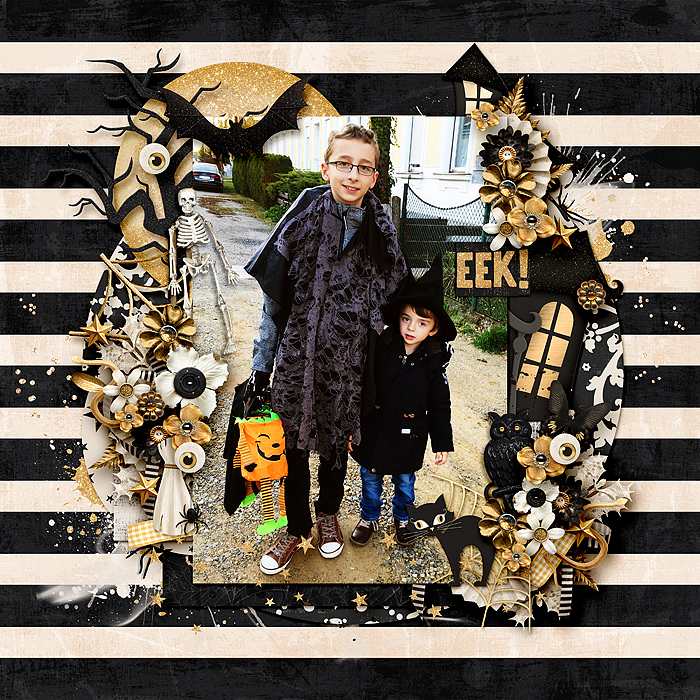 kcb_scaredycat