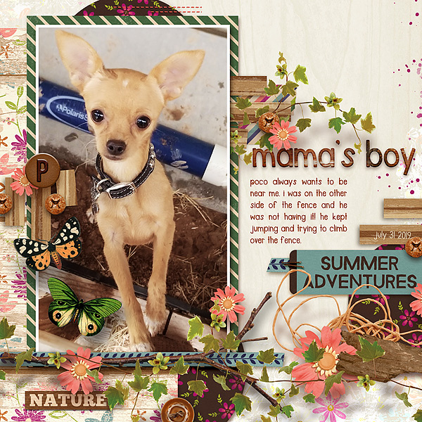 mamas-boyWEB