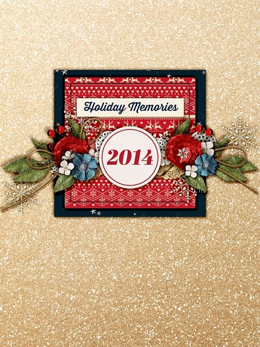 Front cover Holiday Memories 2014