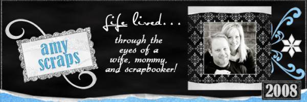 2008 Winter Blog Banner