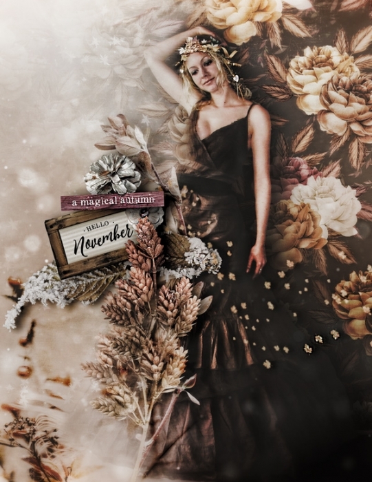 HelloNovember